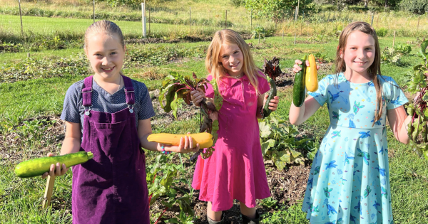 Rooted in Joy – John XXIII Montessori Center Giving Day | December 2 ...